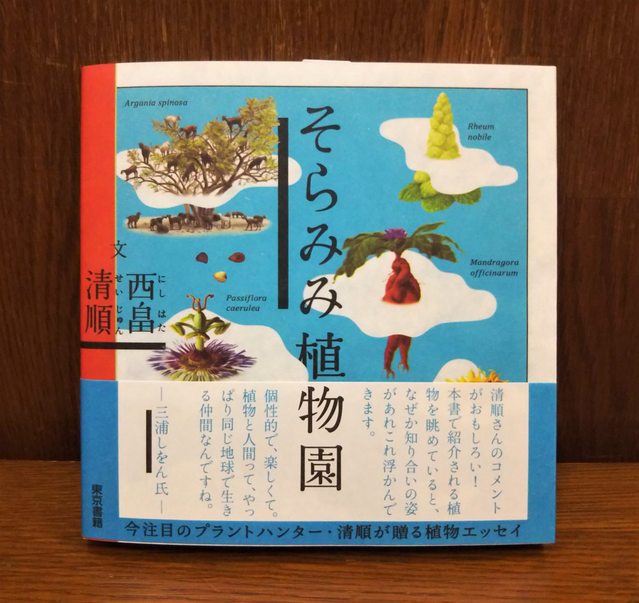 Uzivatel ジュンク堂書店 名古屋店 Na Twitteru 理工書 本日は 植物学の日 ということで 植物のこんな本はいかがでしょう 西畠清順さんの そらみみ植物園 東京書籍 個性的な植物の生態やあっと驚く話を 味のある素敵なイラストとともに紹介しています Uzivatel ジュンク堂書店 名古屋店 Na Twitteru 理工書 本日は 植物学の日 ということで 植物のこんな本はいかがでしょう 西畠清順さんの そらみみ植物園 東京書籍 個性的な植物の生態やあっと驚く話を 味のある素敵なイラストとともに紹介しています