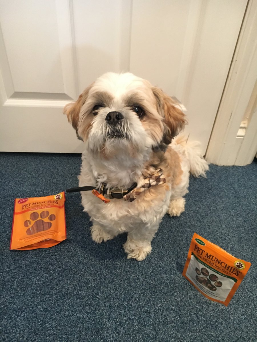 PetMunchies's tweet image. #PetMunchies #premium #dog #giveaway #win #SUSHI #dogtreats FLW &amp;amp; RT 2enter  #dogs #dogsoftwitter #treats #pets #doglover #Competition by 25 April
