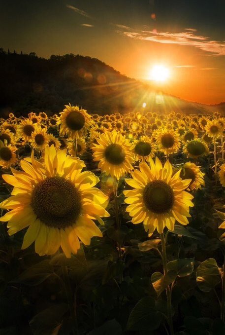 KbShomang's tweet photo. Top Class day Kings &amp; Queens, you make such an eminent difference in people's lives everyday, never stop to matter  🌻🌞 @djselwyn @mantsadisepheka @kayleekruser @PaulPlaydon @JpCarelse @LungaSingama  @GraemeRauby  @bigstanmars @lukhanyocalata @laurenparis19 @Sugafunk @IanWardZA https://t.co/Vd85YxaADB