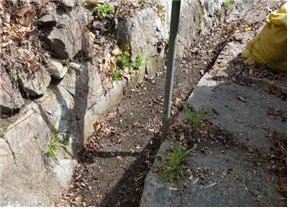 #성남시 #중원구건설과 #낙엽청소작업
남한산성로 산성터널~남문매표소 낙엽청소작업을 완료하였습니다.