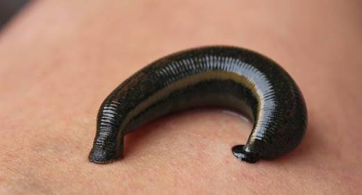 <a href="/Videocond2h/">Video Con</a> YOU SUCK.