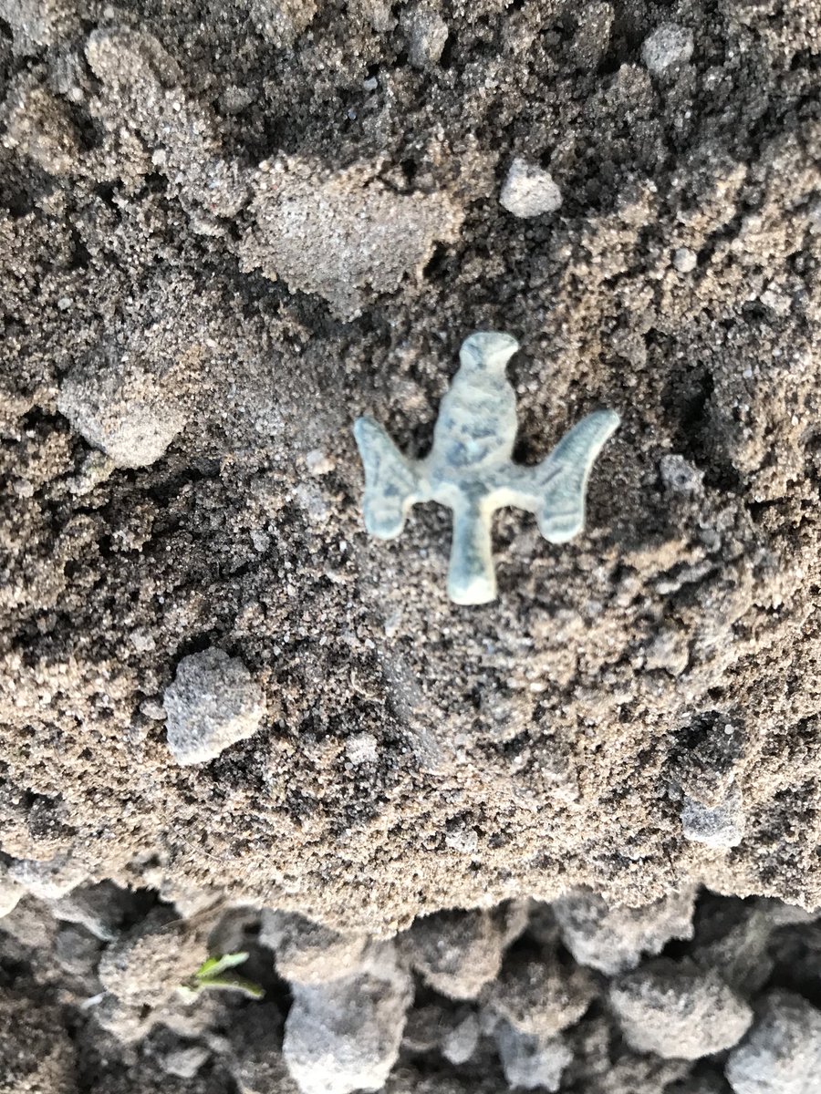 megadonkeys's tweet photo. I found some nice things , a small roman fibular brooch and a medieval hammered coin , so happy .. #metaldetecting #medieval #silver coin #fibular brooch #netherlands https://t.co/VFFHnAnn5v
