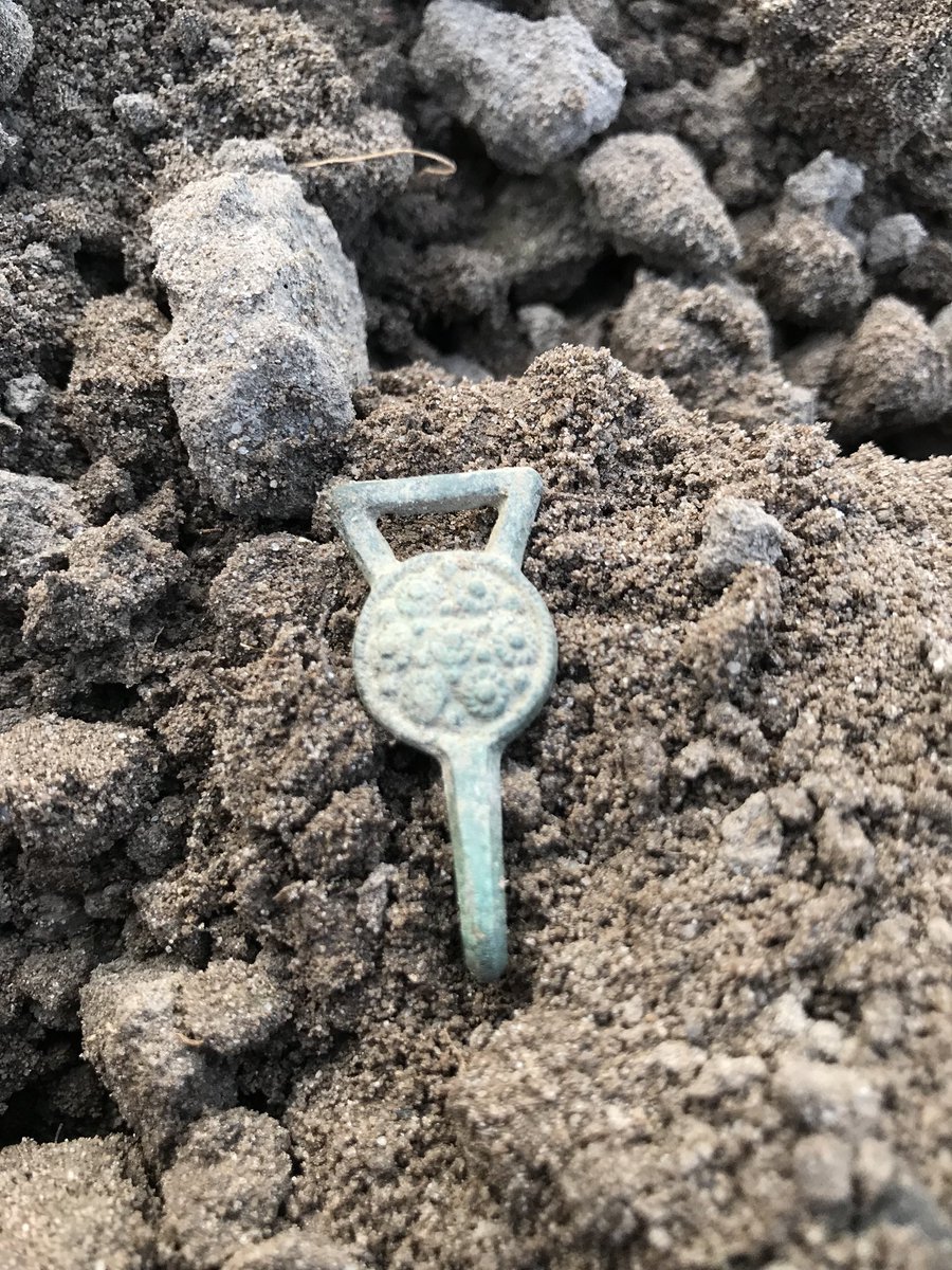 megadonkeys's tweet photo. I found some nice things , a small roman fibular brooch and a medieval hammered coin , so happy .. #metaldetecting #medieval #silver coin #fibular brooch #netherlands https://t.co/VFFHnAnn5v