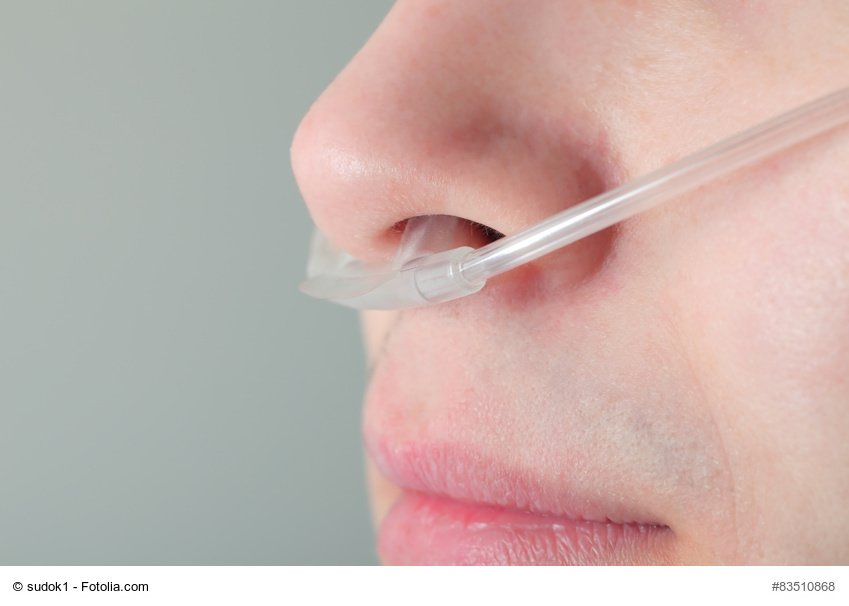 Interested in researching respiratory disorders? Take a look at our funding opportunities: ow.ly/qaPL30jACp3 #COPD #CysticFibrosis #Bronchiectasis