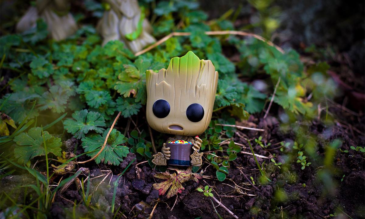 desinfecteren auteursrechten Pigment EMP UK on Twitter: "How cute is this #Groot with candy bowl #Funko?😍💚 It's a #limitededition - don't miss out👉https://t.co/dX2krqFHst #IAMGROOT 🌱@FunkoEurope #emp #empuk #funko #funkopop #wearegroot #grootfunko #dancinggroot #gotg #gotgvol2 ... desinfecteren auteursrechten Pigment EMP UK on Twitter: "How cute is this #Groot with candy bowl #Funko?😍💚 It's a #limitededition - don't miss out👉https://t.co/dX2krqFHst #IAMGROOT 🌱@FunkoEurope #emp #empuk #funko #funkopop #wearegroot #grootfunko #dancinggroot #gotg #gotgvol2 ...