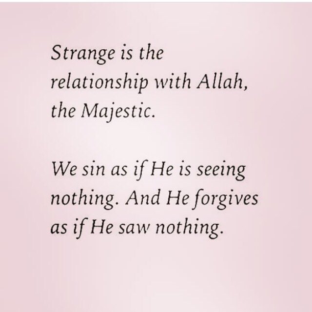 𝓜𝓚 tweet media