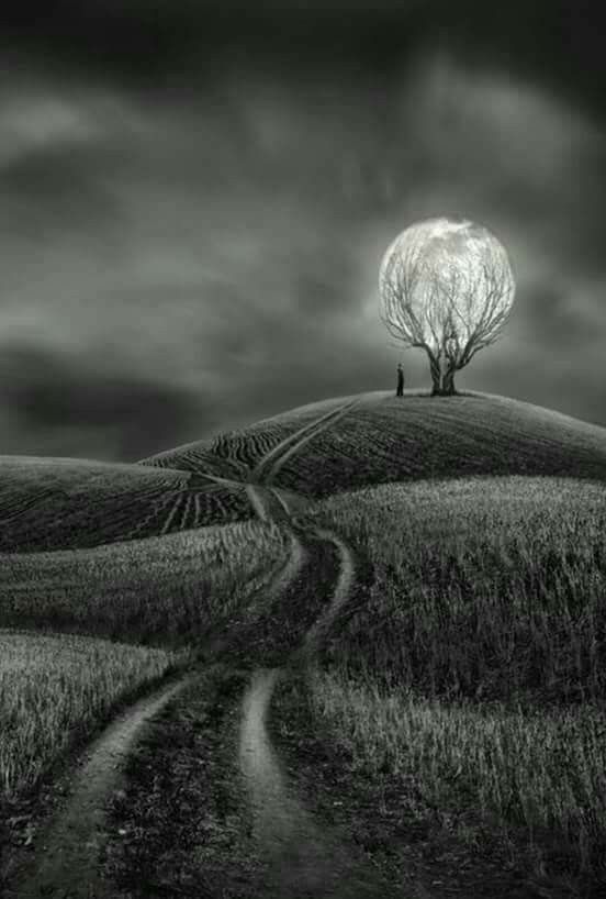 Minima OFF tweet media