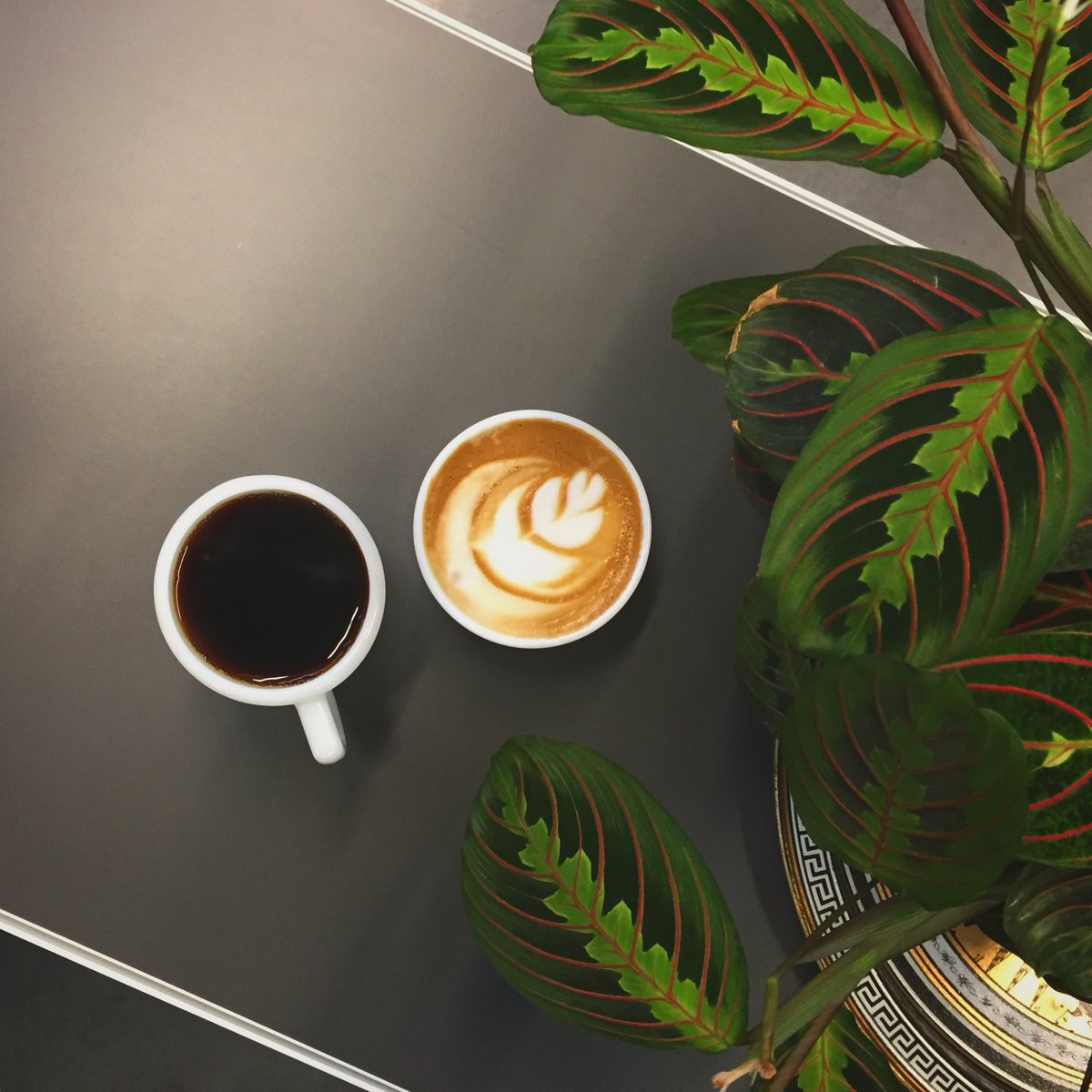 planetarycoffee's tweet image. Both types of music, country and western. 
.
.
.
#coffee #coffeeshop #cappuccino #latte #traversecity #michigan #forthoseabouttowake #plants #tuesday #mood #morning #wakeup #getgoing