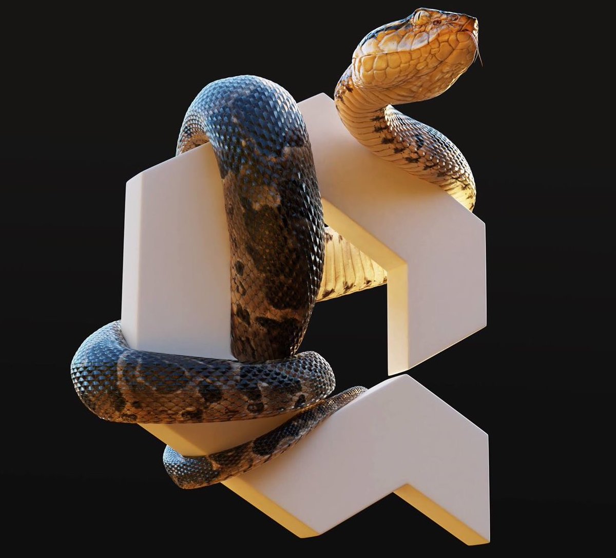 quixeltools's tweet photo. By popular demand - #AlexanderMartin shows us the art of building beautiful creatures using Quixel Suite in a material creation process breakdown for his PBR viper model.

https://t.co/A5Pr9P0EmB

https://t.co/qkkLav5JDL

#quixel #quixelsuite #materialcreation #tutorial #getgood https://t.co/F8BwUpX92K