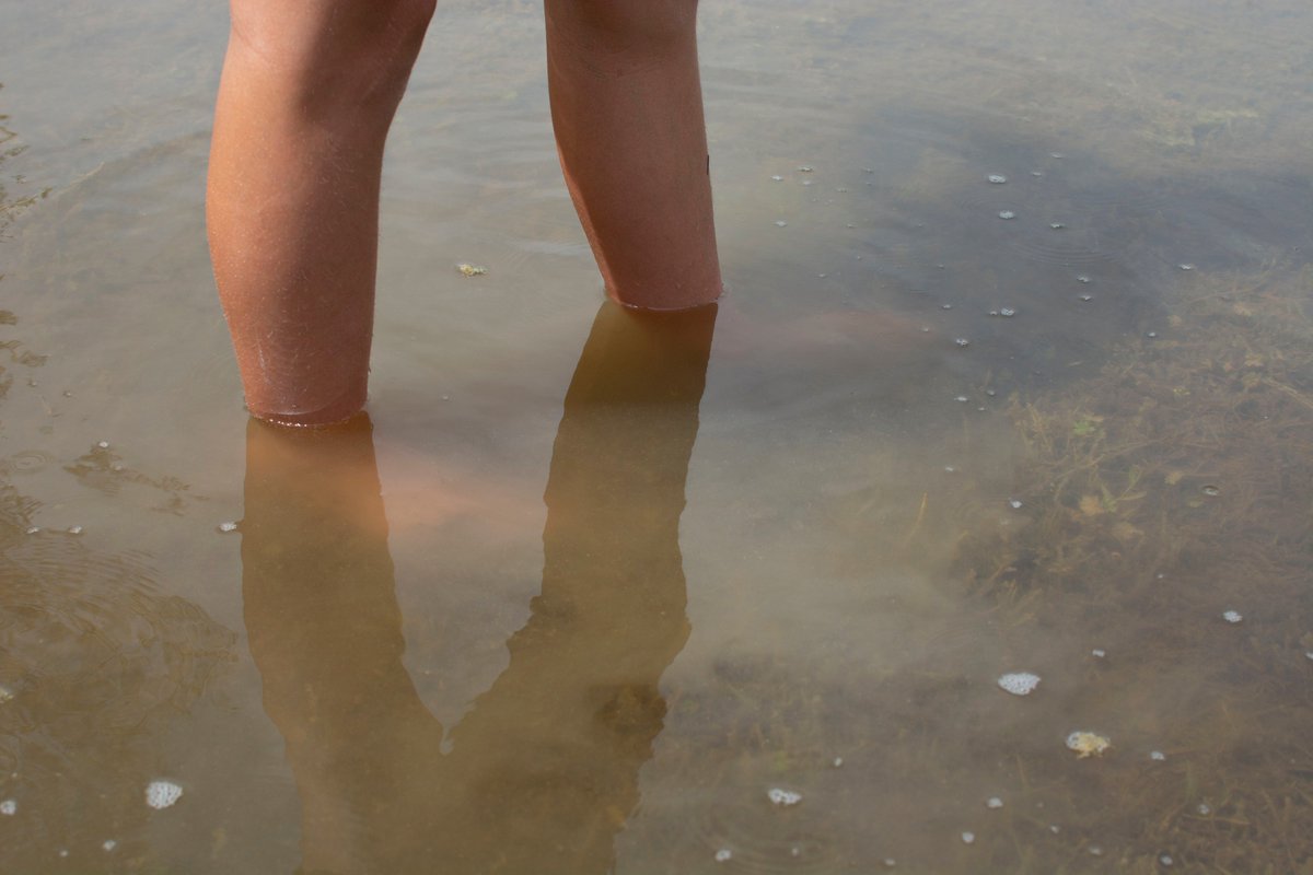 BarrioVivoAlget's tweet photo. Una muestra de las mejores fotografías tomadas en el Concurso Creativo en las lagunas de #Algete
📸En orden:
-Beatriz Lueca
-Jose Antonio
-Lourdes Fernández
-Rafael López
👉Agradecemos la colaboración de Jorge y José Manuel de Espacio Creativo #Imagenta
@SEO_BirdLife @ecoembes https://t.co/MWfUmzLKpa