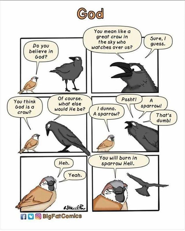 pandey_pundey's tweet photo. The God of Golden Sparrow... #RaWComics #Sparrows #Crows #BirdsNotPeople #PeopleNotWords #IndiaStudents #StayUnpredictable #GodOfSmallThings #InheritanceOfLoss #Riyasat https://t.co/rWopDopLDh https://t.co/5qaF2SYVTm