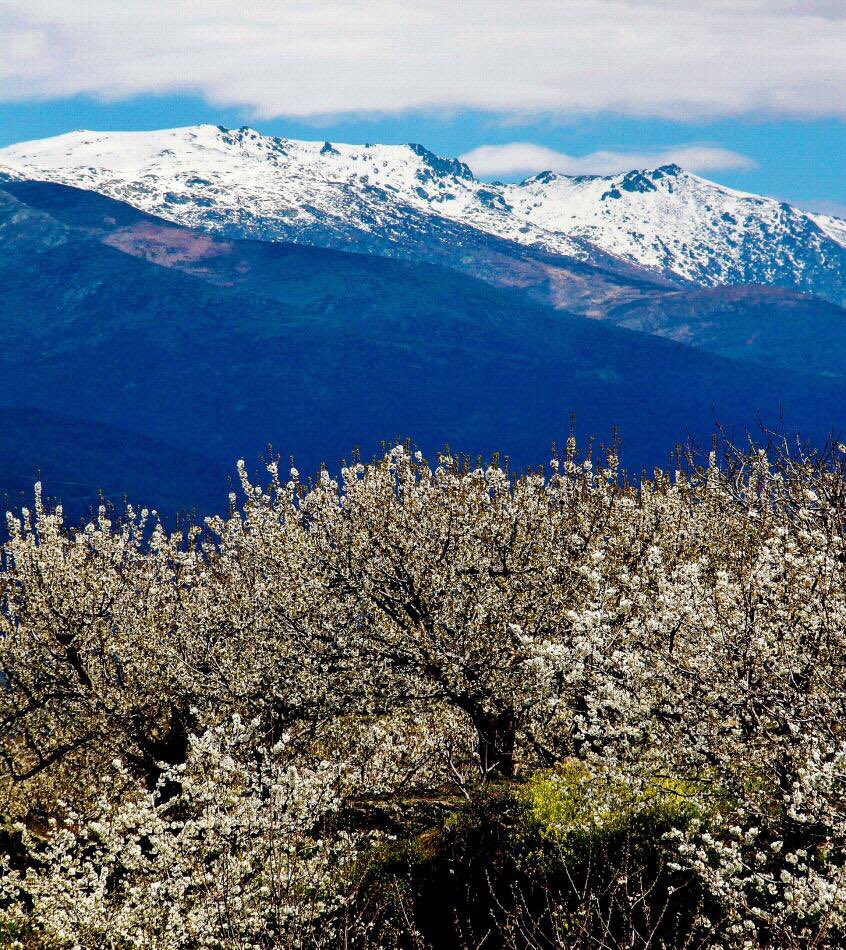 Lugar*ES Rural*ES 🍀 tweet media