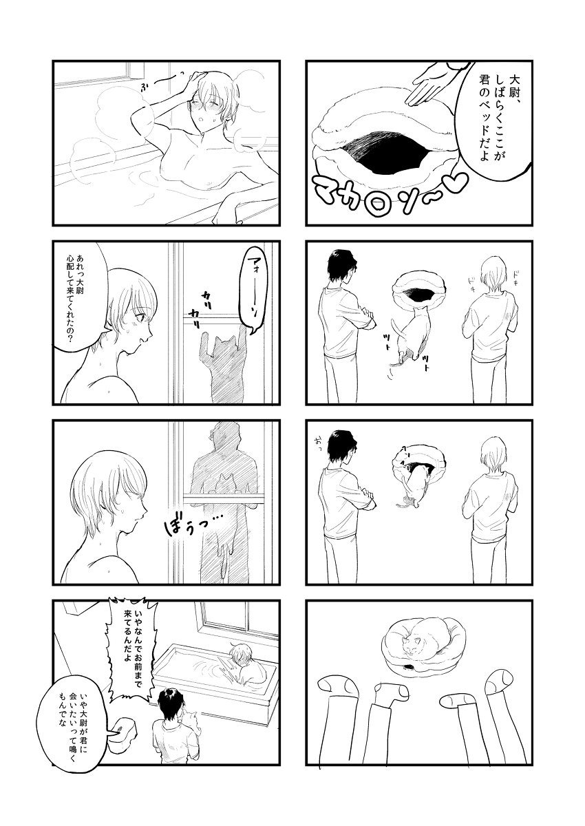 #みなさん去年の今頃はどんな絵描いてましたか 
きゃっつから1年…!?!? 