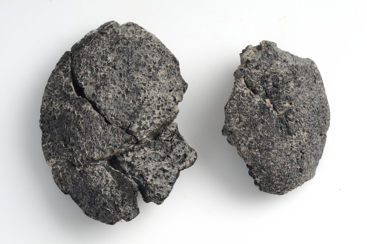 melbournemuseum's tweet image. Archeological finds have added to our knowledge of the Vikings diet. Bread was baked for both everyday meals and celebrations -  I'm sure it looked much more appealing when it was made than these remains do 1000 years later! Vikings: Beyond the Legend- bit.ly/2jgBpaI