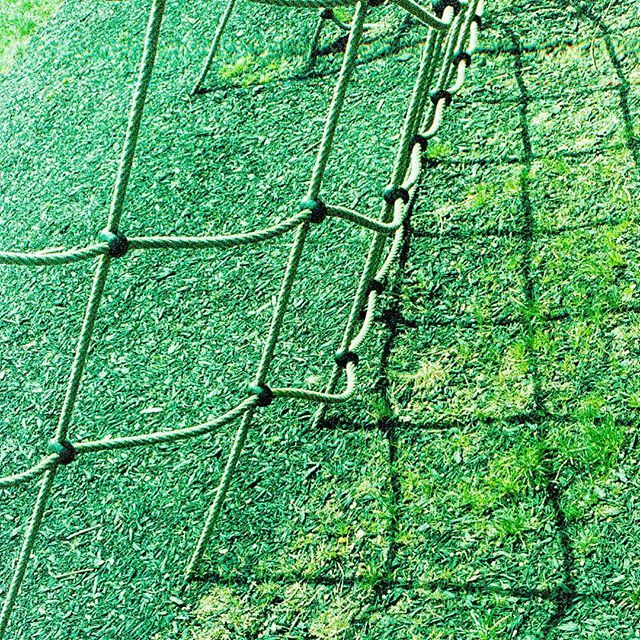 hamid's tweet image. Tangled web. Shot with my Canon EOS 650 on 35mm Kodak 500T colour film. Processed in my #OutofScope lab. First time using chamois leather to clean the remjet coating off the film and it worked perfectly. Now I need to get an appropriate daylight filter f… ift.tt/2HXWdPy