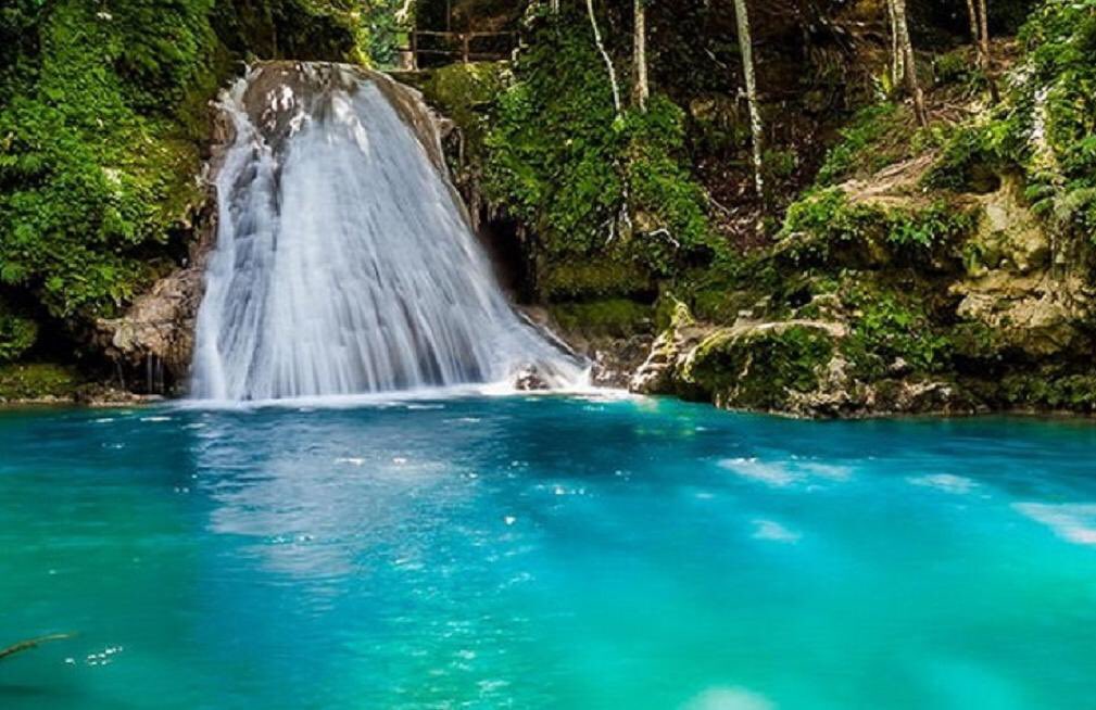 On vous embrasse les gars ! 😌😘❤️