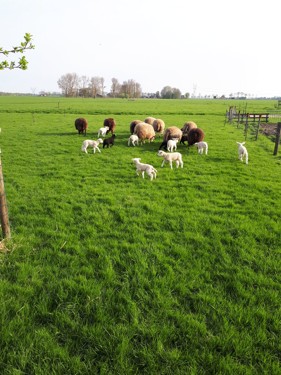 #noplastic #nocan #nofastfood
#keepcleanstayclean  #enjoynature #zwerfie  #freedom