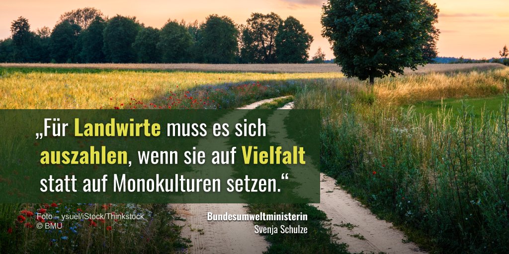Das alte Prinzip, dass der am meisten bekommt, der die größten Flächen besitzt, hat ausgedient. Wir brauchen eine EU-Agrarförderung, die viel stärker der Umwelt nutzt und die Landwirte besser für das honoriert, was sie für den Naturschutz leisten.