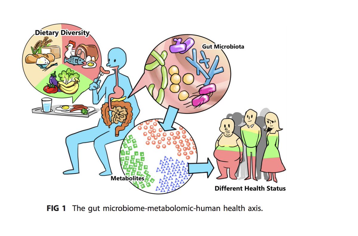 GMFHx's tweet photo. Gut microbiota produces a wide range of metabolites that
coevolved with the human body for millions of years. A new review via @mSystemsJ explores the gut microbiome-metabolomic-human health axis in mediating the impact of diet on health outcomes https://t.co/CvWy8aO2u6 https://t.co/MRn0h3ntH9