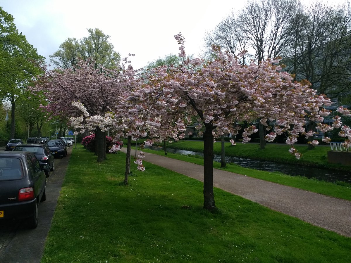 MargovdS's tweet photo. Het blijft een prachtige plek in de wijk - de #Gaarde in @Vrederust https://t.co/bAWG5aSmGl