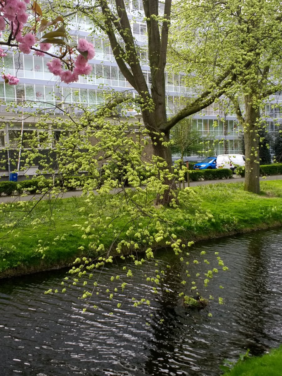 MargovdS's tweet photo. Het blijft een prachtige plek in de wijk - de #Gaarde in @Vrederust https://t.co/bAWG5aSmGl