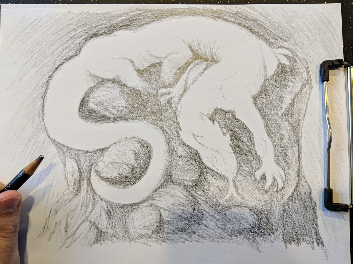 blackbox81art's tweet photo. Had some spare time on my lunch so I started shading with an old 8B pencil and this basilisk started to take shape.
-
#art #artwork #originalart #pencildrawing #pencilart #fantasyart #fantasy #dungeonsanddragons #sketch #sketches #monster #basilisk https://t.co/HqOuUVy9d5