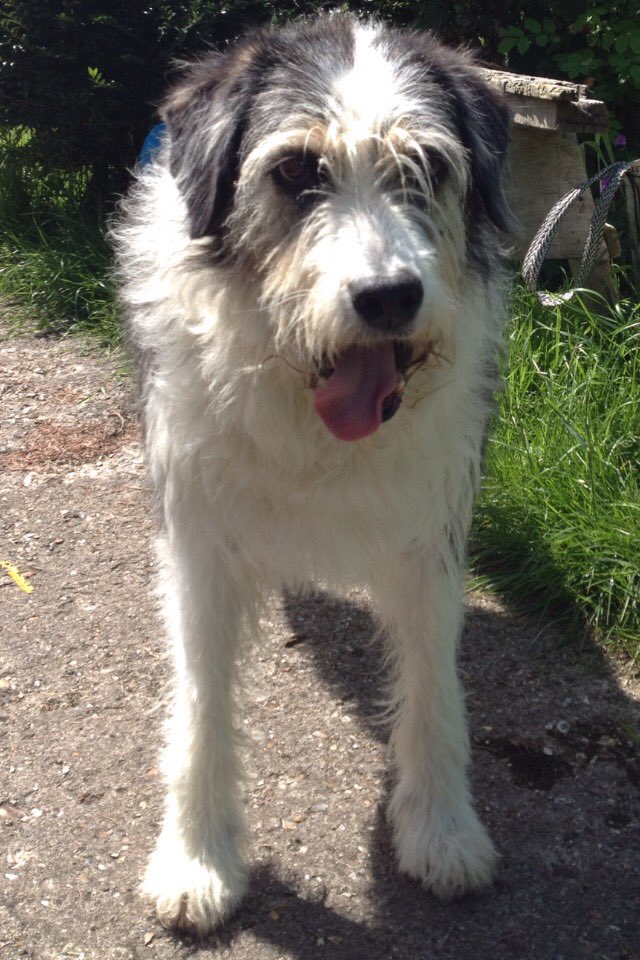 kn19htm's tweet image. #TongueOutTuesday