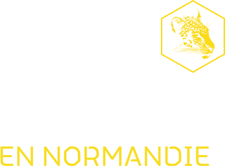 ADNormandie's tweet photo. Exposez-vous !

#IDFNormandie Vous avez jusqu'au 27 avril pour #réserver votre #stand au rendez-vous incontournable de l #économie #normande !   Le 31 mai @CID_Deauville https://t.co/ox1u6pFbXO https://t.co/ix8gUS0gnK