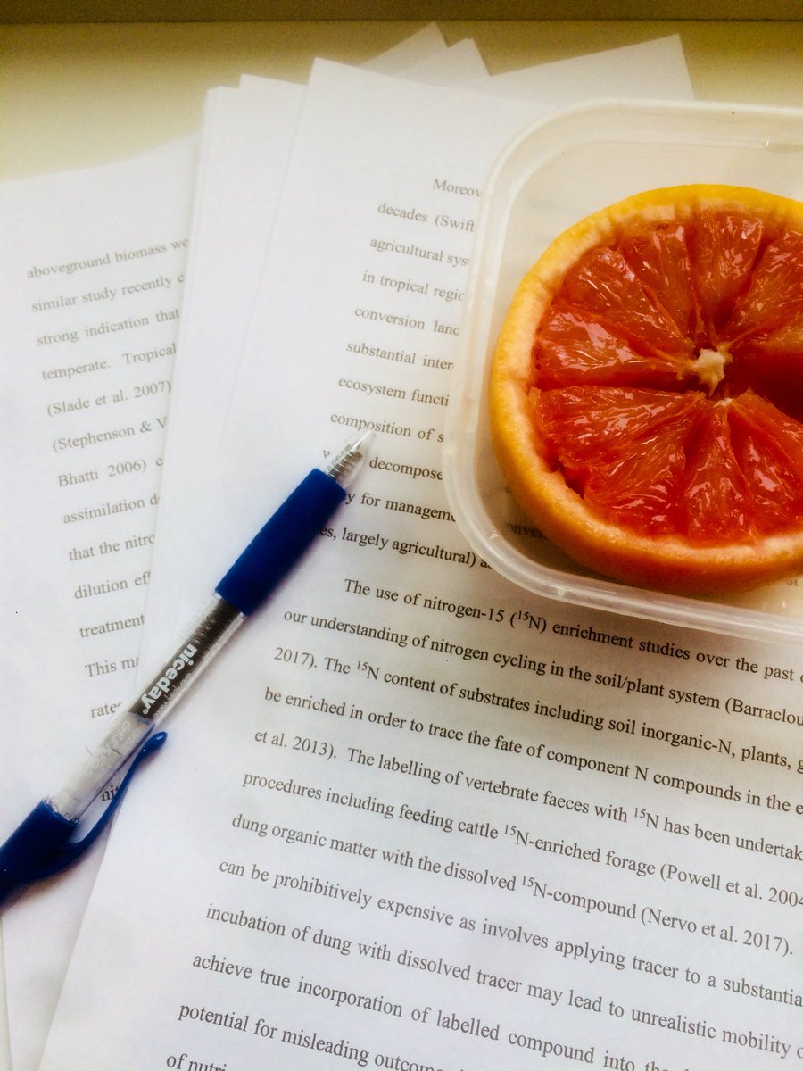 Tor kemp tweet media