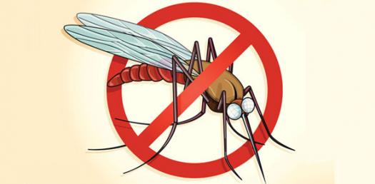 ifm1059's tweet image. World Malaria Day will be marked tomorrow around the world. Today on #HealthBreak with @imadem1 we will be talking about Malaria and the efforts towards eradicating this scorge.

Do you have questions or comments? Do well to send them in.

#iFM1059