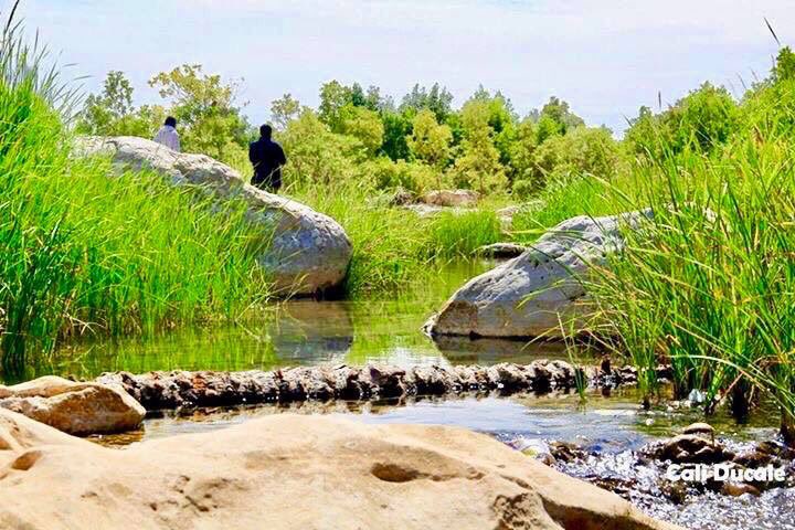 FGeeddi's tweet photo. Beauty of a nature  #Somalia_speaks  #الصومال_تتحدث https://t.co/GpknBPvbCE
