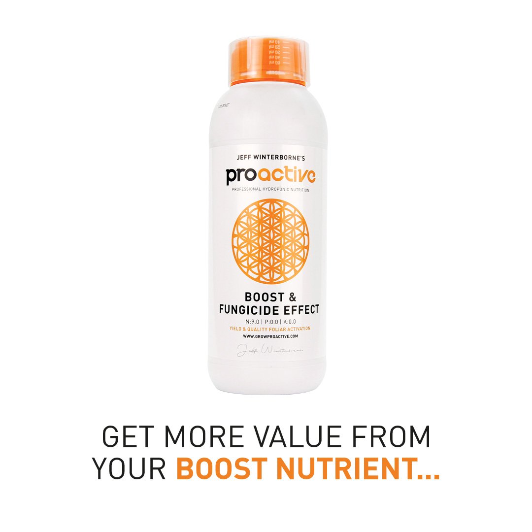 growproactive's tweet photo. We've compared the dilution ratios with comparable boost additives in the industry, see our stockists to see how much you could save with Jeff Winterborne's ProActive Boost and Fungicide Effect

https://t.co/HAdCv4vSUU

#jeffwinterborne #growproactive #proactivenutrients #Boost https://t.co/7AwYtMoJJ1