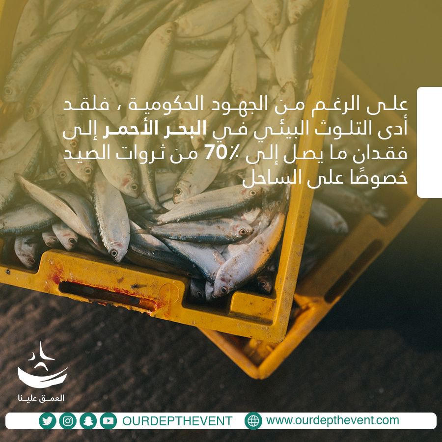 #حقيقة_بحرية : ينعكس وجود المخلفات في الأعماق بشكل مباشر على الثروة السمكية، وهو ما يؤثر على الاقتصاد بشكل عام. #العمق_علينا