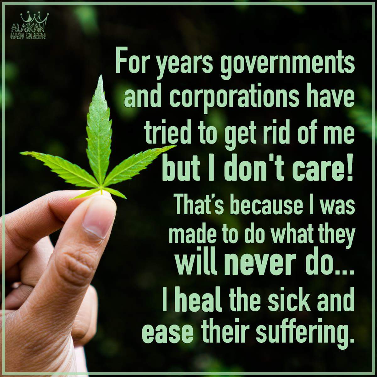 ArmyOfPotheads's tweet photo. It's a rise and shine #Tuesdaze #TruthDay! Sorry big corporations and Special Interest Governements...#Cannabis is coming!

#Staylifted and #StayGifted out there, #Stonerfam! #IAmCannabis https://t.co/0KcWUq6qYu