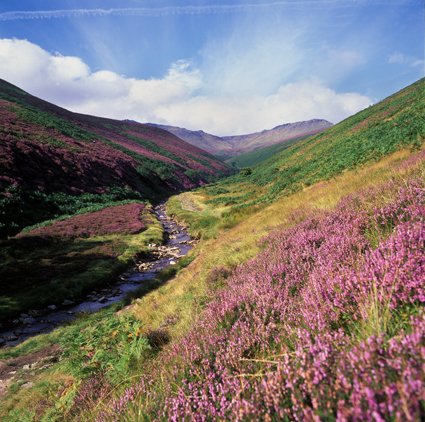 peakdistrict's tweet photo. Today (24 April) in 1932, the #KinderScout Mass Trespass took place. This marked the beginning of the right-to-roam movement. Thanks to these pioneers we can now all enjoy the right to access our #PeakDistrict National Park.

#RightsofWay #Access #RighttoRoam #Freedom https://t.co/YqHJ4wOVEO
