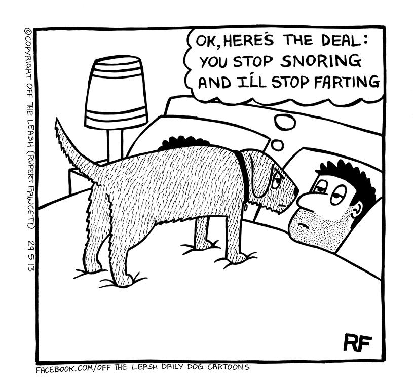 STOP SNORING
#stopsnoring #offtheleash #rupertfawcett #dogsonthebed #bedtime #snoring #offtheleash #dogcartoons