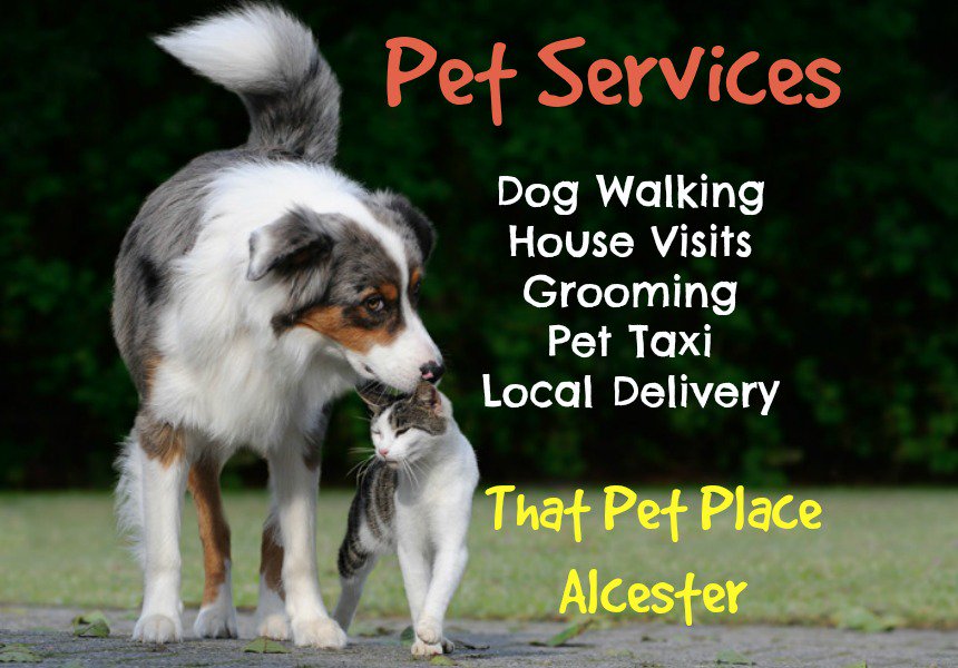 That Pet Place 🐾 (@thatpetplaceuk) on Twitter photo Need any of our services? Contact us at thatpetplace.co.uk <a href="/visitalcester/">VisitAlcester</a> #alcester #warwickshire #petservices Need any of our services? Contact us at thatpetplace.co.uk <a href="/visitalcester/">VisitAlcester</a> #alcester #warwickshire #petservices