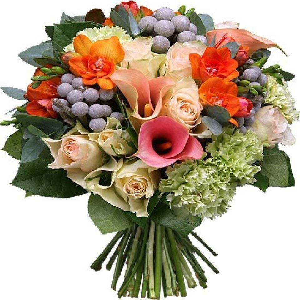Bardin Elsa Un 24 Avril Est Nee Une Jolie Petite Poupee Nommee Florence Aujourd Hui Elle A Grandi A Cette Jeune Femme Je Souhaite Un Bon Anniversaire Et Bardin Elsa Un 24 Avril Est Nee Une Jolie Petite Poupee Nommee Florence Aujourd Hui Elle A Grandi A Cette Jeune Femme Je Souhaite Un Bon Anniversaire Et