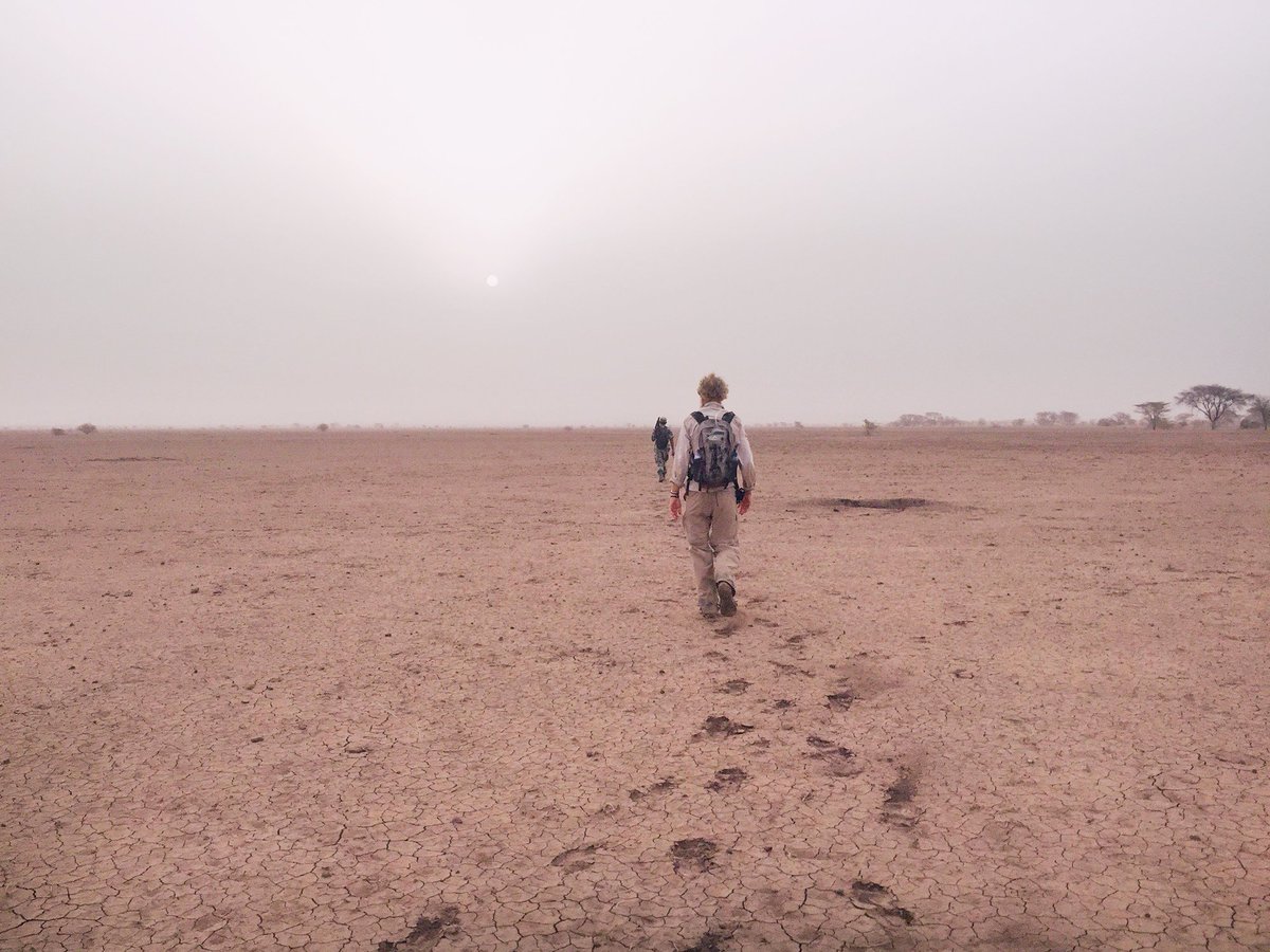 theriftdoc's tweet image. Only three more days left to donate: kck.st/2HAeyki

COME WALKING WITH US!

#theriftdoc