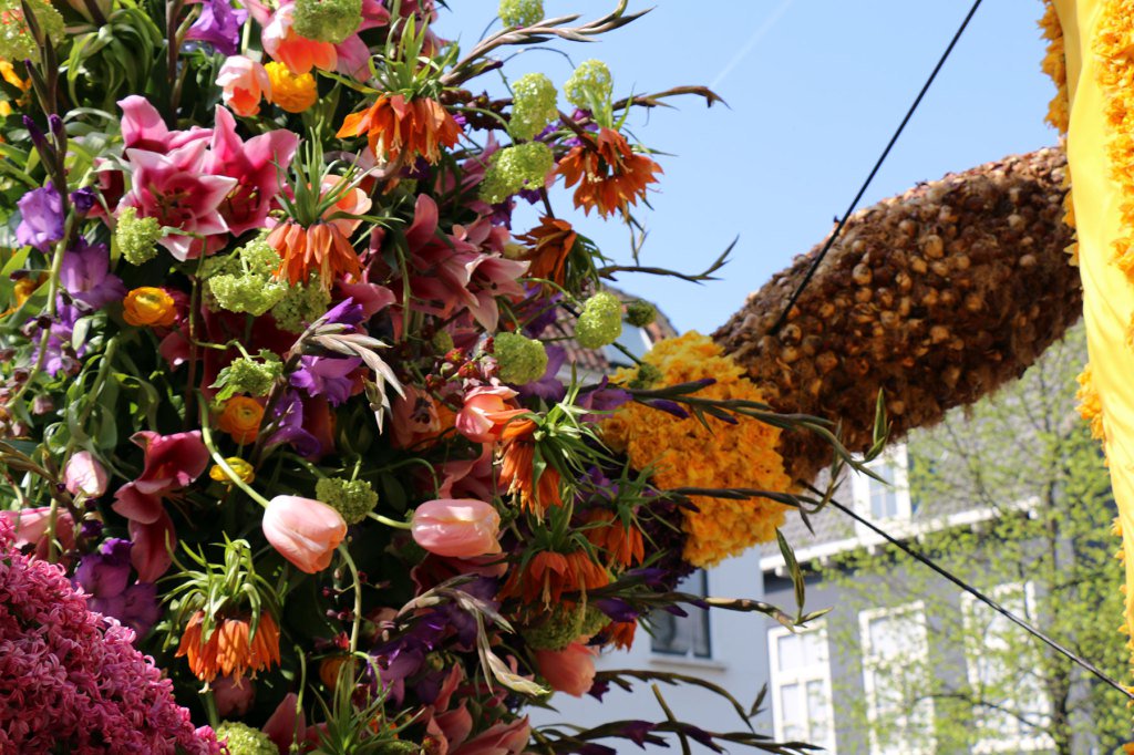 corsohaarlem's tweet photo. Dutch Spring https://t.co/ZVvqreoiIw https://t.co/dYfedTRlx2