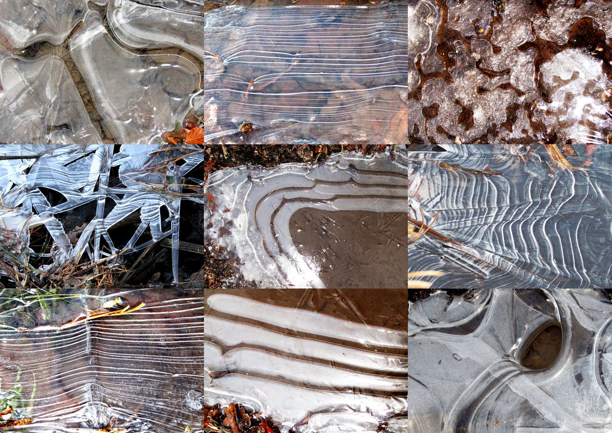 squinancywort1's tweet photo. Noticing..
..you notice a particular feature in nature for the first time–then you see it everywhere and wondered how you came to have missed it all along!
Low tide Patterns on the beach
Ice sculptures in frozen puddles
Drying bark after rain
Fallen willow leaves @BBCSpringwatch https://t.co/r5ng3CyXNj