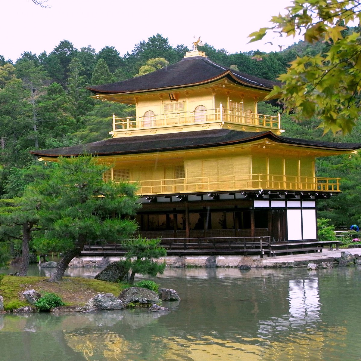 千早振る V Twitter 金閣寺 京都 鹿苑寺 金閣寺 逆さ金閣寺 池 京都 千早振る V Twitter 金閣寺 京都 鹿苑寺 金閣寺 逆さ金閣寺 池 京都
