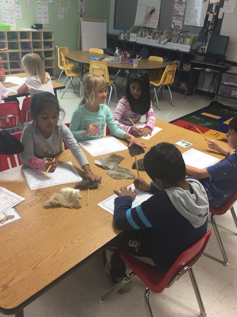 gould_linds's tweet image. Today we investigated animal coverings! Students wrote down describing words and made predictions about where these different materials came from. I love hearing their rationalizations for each station! @oceeotters #explorebeforeexplain #realscience