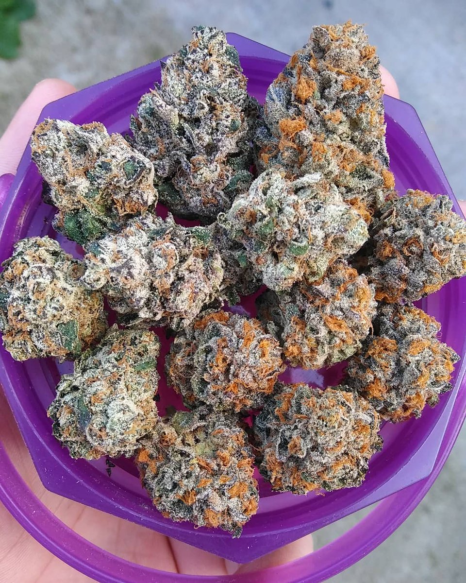 Runtz strain price per gram