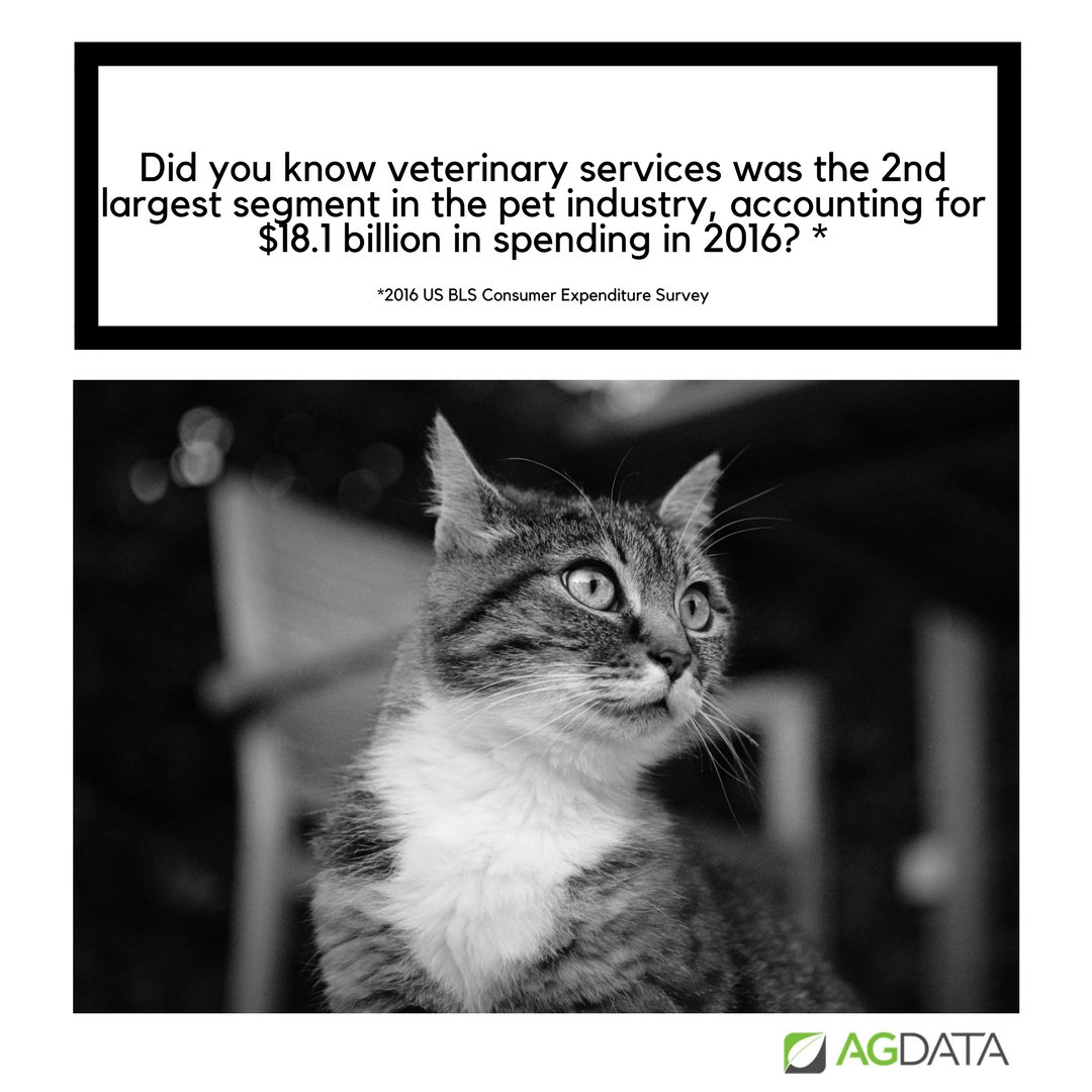 We continue to see consumer spending on companion animals increase annually.