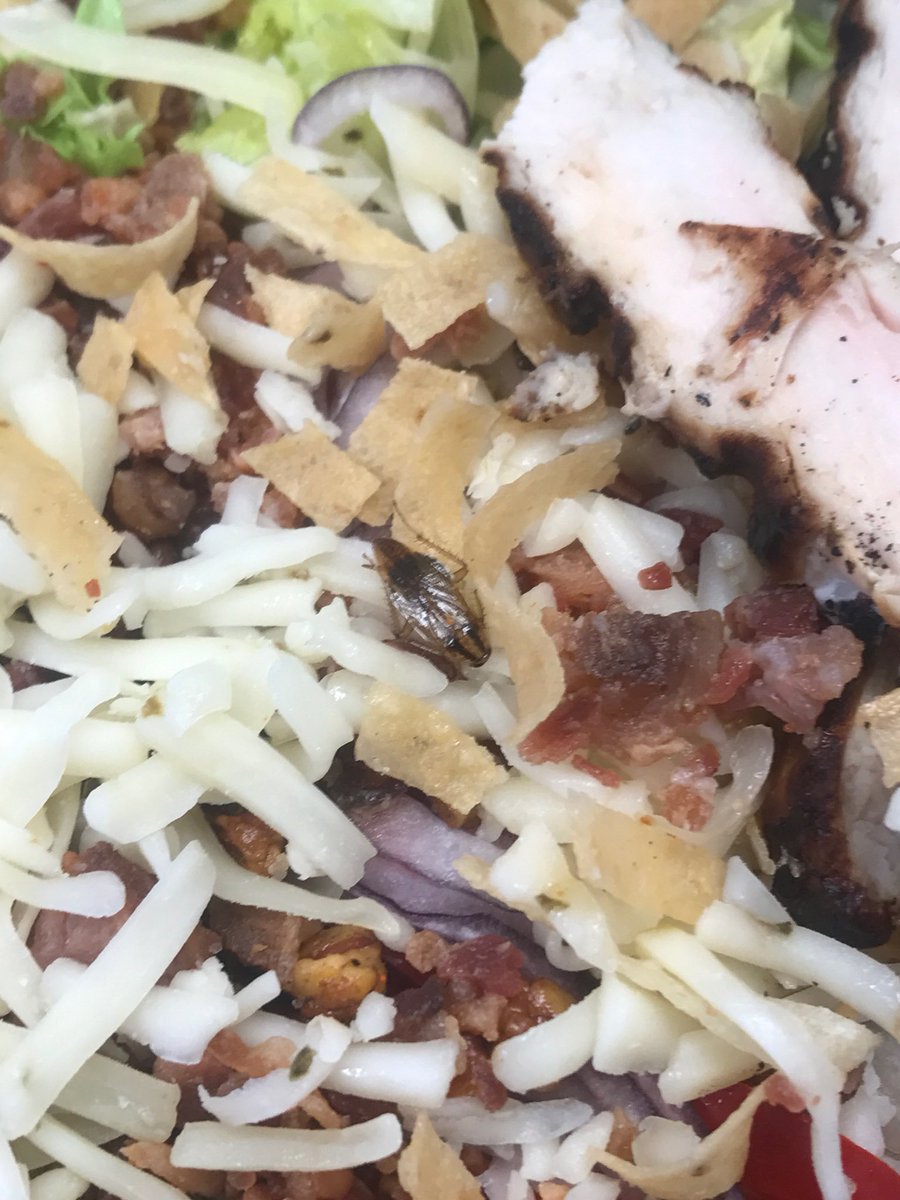 ashnicholryan's tweet image. When you order houlihans and there’s a roach in your salad #digusting