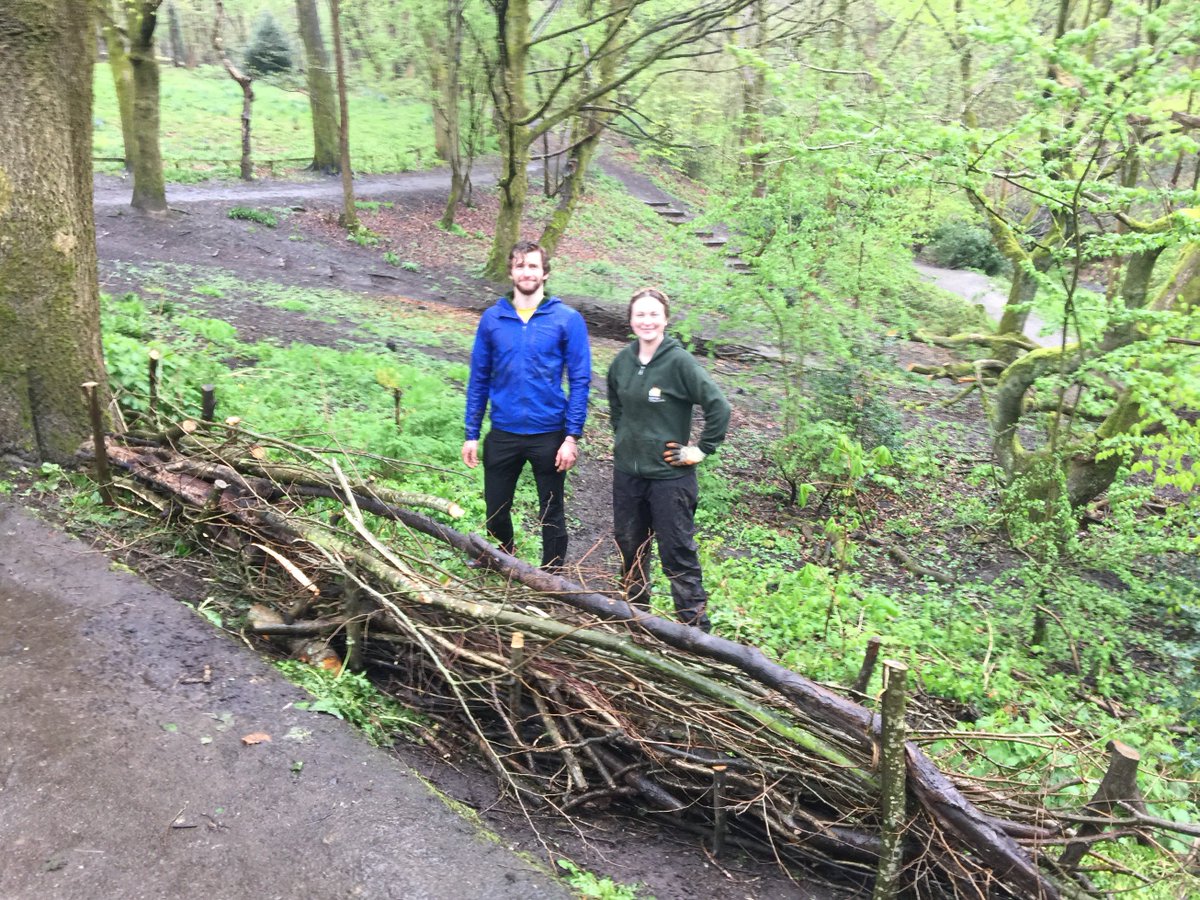 Before & After! Lots of hard work done today in #Prestwich Clough. @CityofTreesMcr working with Friends of Prestwich #Forest #Park @MerseyRivers @BuryCouncil & volunteers from @stmaryprestwich @patagonia #woodlandmanagement #urbantrees