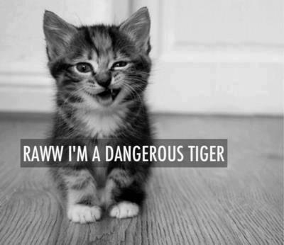 Raww!  I'm a dangerous tiger.

#Bewhateveryouwanttobe #believeinyourself #youcandoit