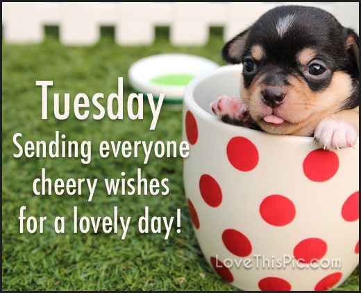 CrafordBenefits's tweet photo. #Tuesday https://t.co/vaATS943iB