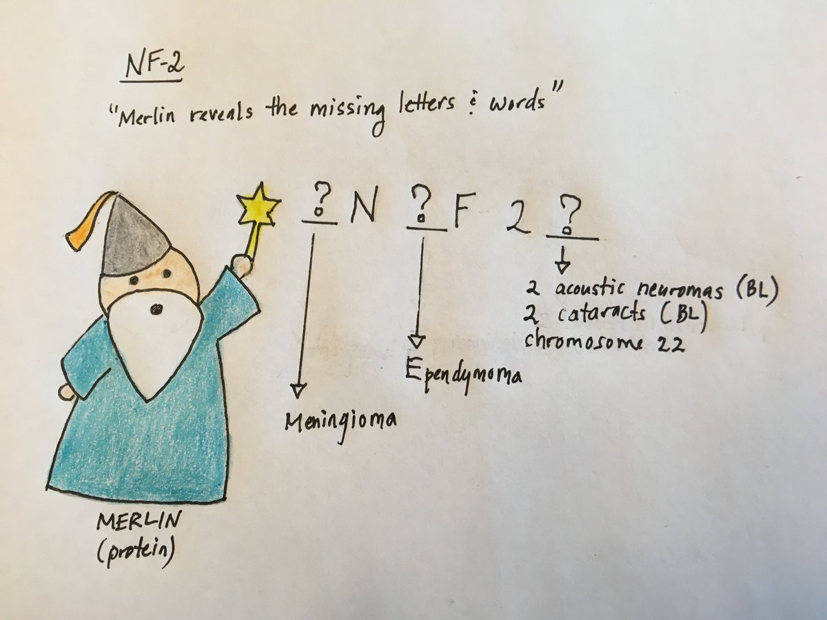 Rad Onc Mnemonics tweet media